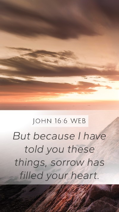 John 16:6 WEB Bible Verse Image