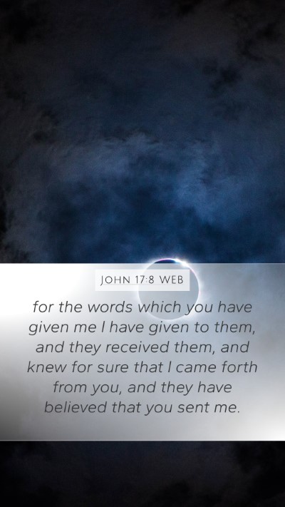 John 17:8 WEB Bible Verse Image