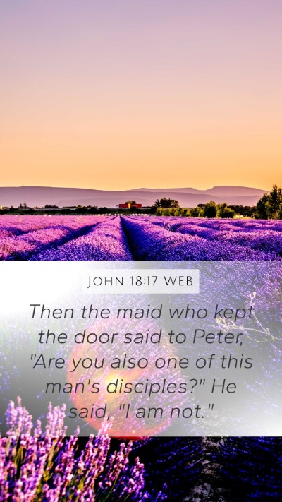 John 18:17 WEB Bible Verse Image