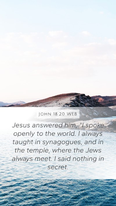 John 18:20 WEB Bible Verse Image