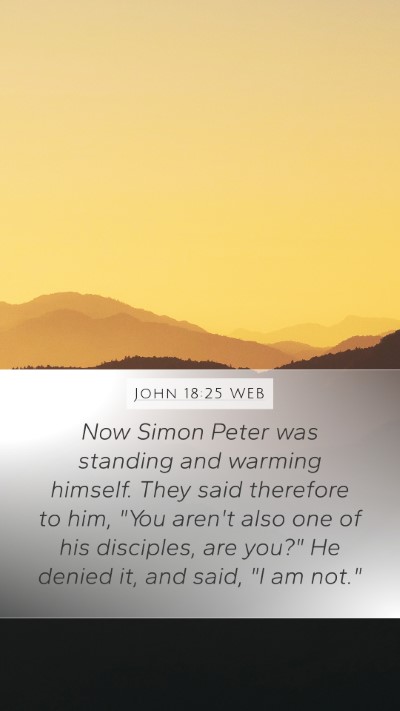 John 18:25 WEB Bible Verse Image