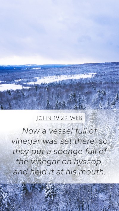 John 19:29 WEB Bible Verse Image