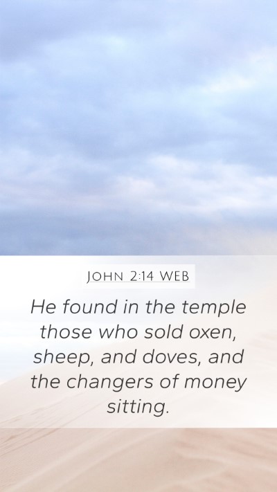 John 2:14 WEB Bible Verse Image