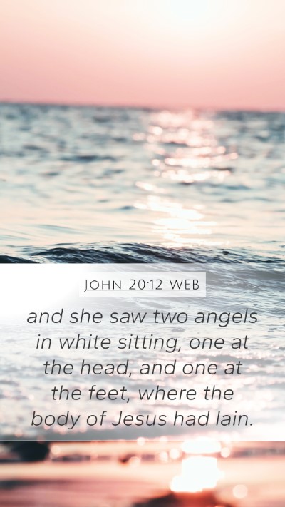 John 20:12 WEB Bible Verse Image