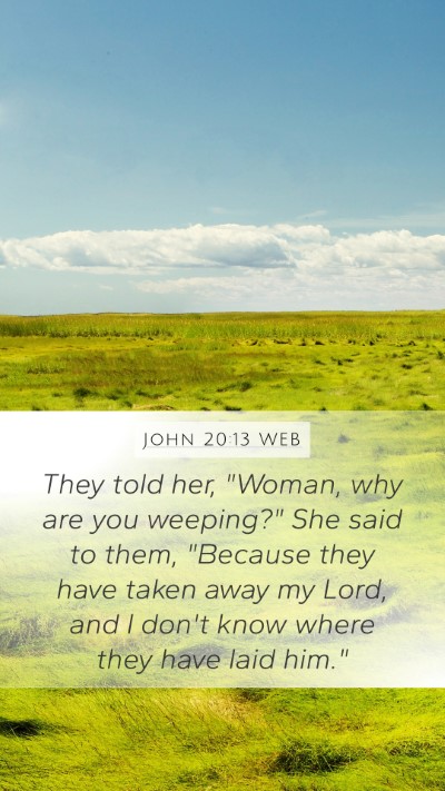 John 20:13 WEB Bible Verse Image