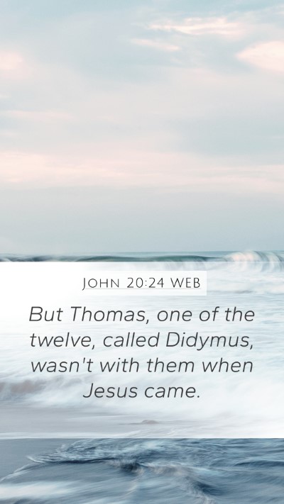 John 20:24 WEB Bible Verse Image