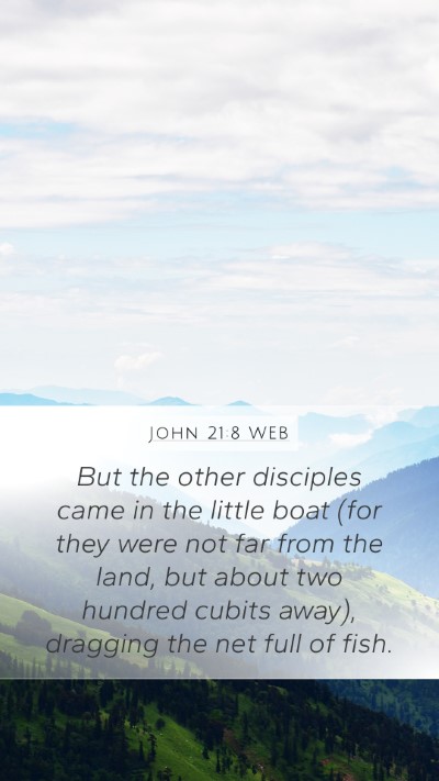John 21:8 WEB Bible Verse Image