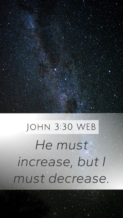 John 3:30 WEB Bible Verse Image