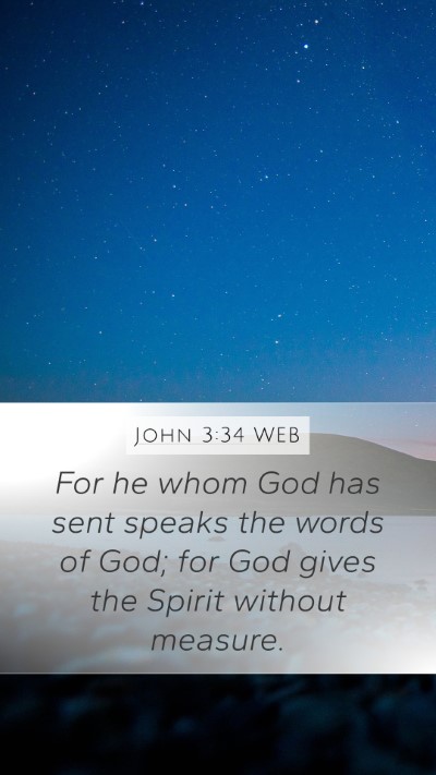 John 3:34 WEB Bible Verse Image