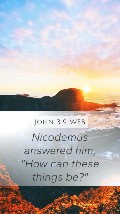 John 3:9 WEB Bible Verse Image