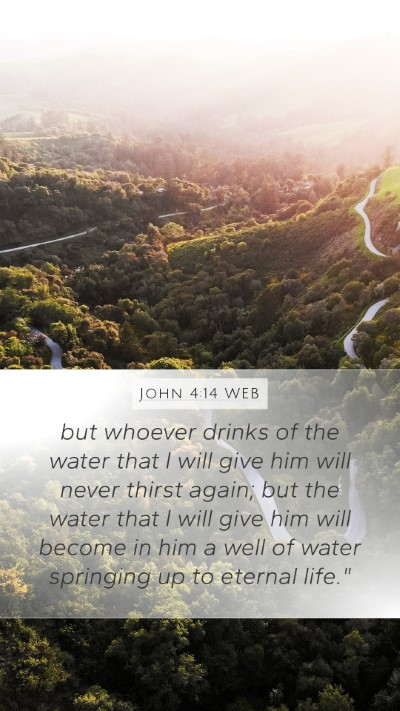 John 4:14 WEB Bible Verse Image