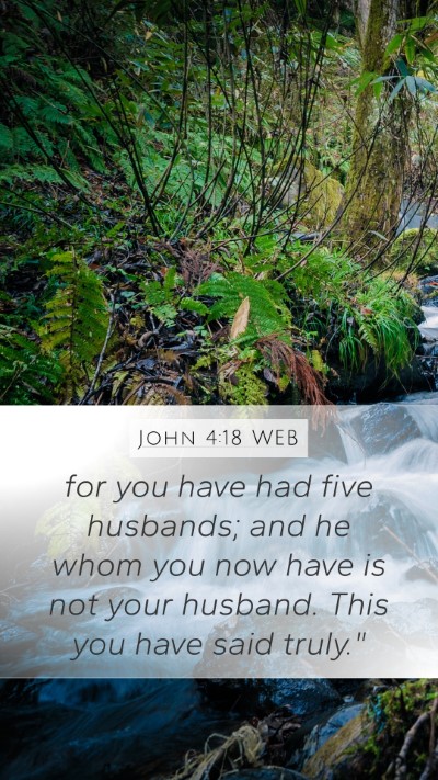 John 4:18 WEB Bible Verse Image