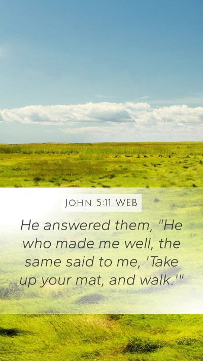 John 5:11 WEB Bible Verse Image