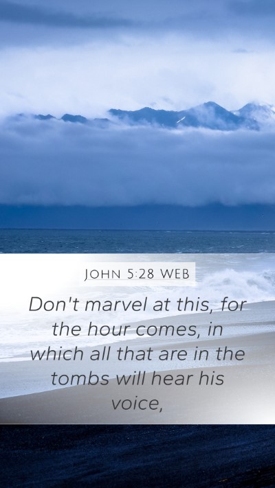 John 5:28 WEB Bible Verse Image