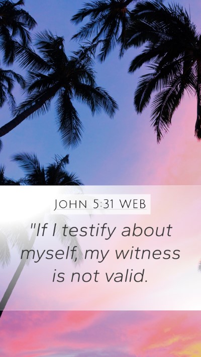 John 5:31 WEB Bible Verse Image