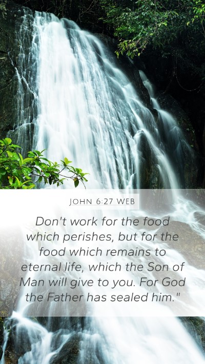 John 6:27 WEB Bible Verse Image