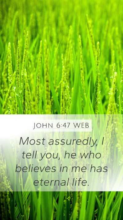 John 6:47 WEB Bible Verse Image
