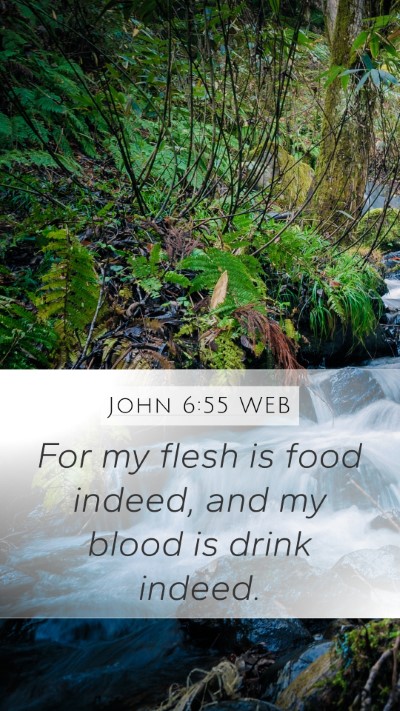 John 6:55 WEB Bible Verse Image