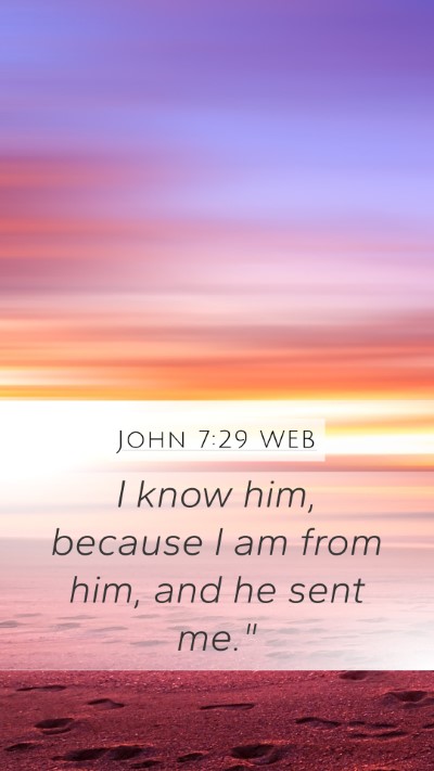 John 7:29 WEB Mobile Phone Wallpaper - I know him, because I am from him, and he sent - Mobile Bible Verse Wallpaper