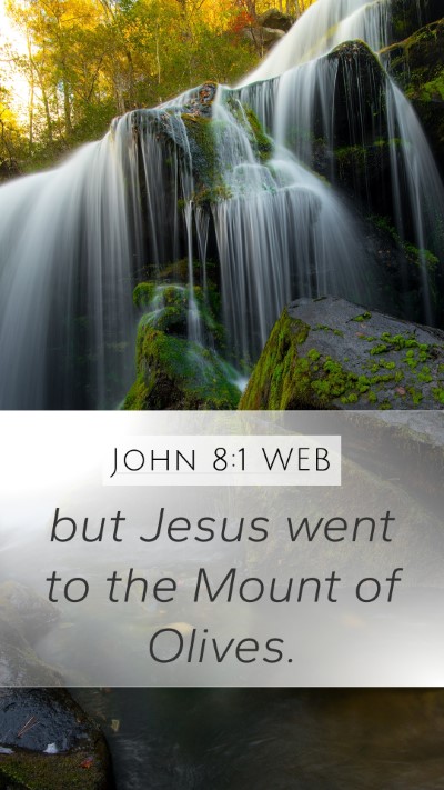 John 8:1 WEB Bible Verse Image