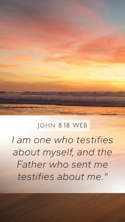 John 8:18 WEB Bible Verse Image