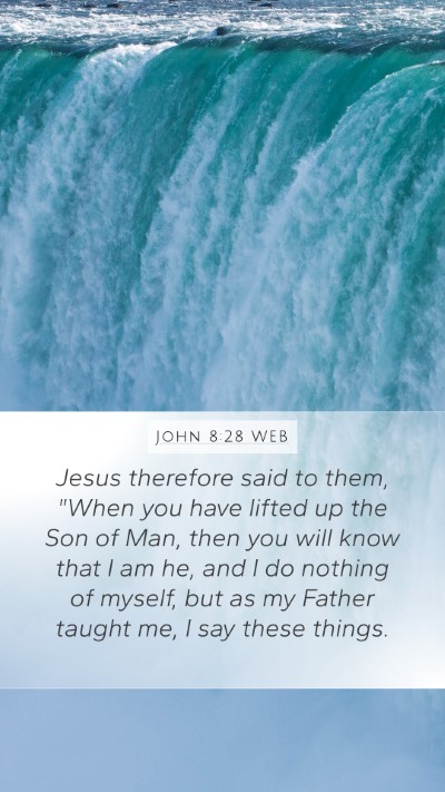 John 8:28 WEB Bible Verse Image