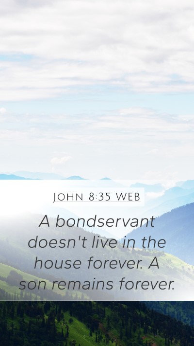 John 8:35 WEB Bible Verse Image