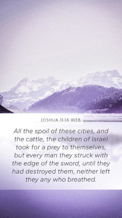 Joshua 11:14 WEB Bible Verse Image