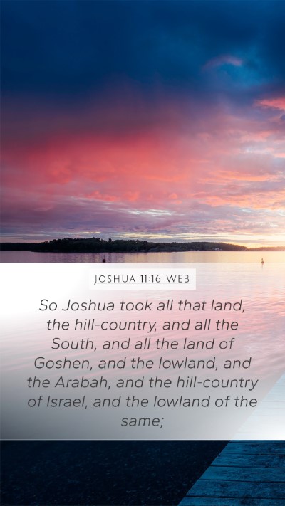 Joshua 11:16 WEB Bible Verse Image