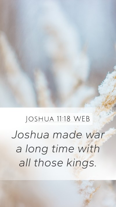 Joshua 11:18 WEB Bible Verse Image