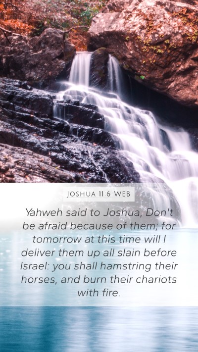 Joshua 11:6 WEB Bible Verse Image