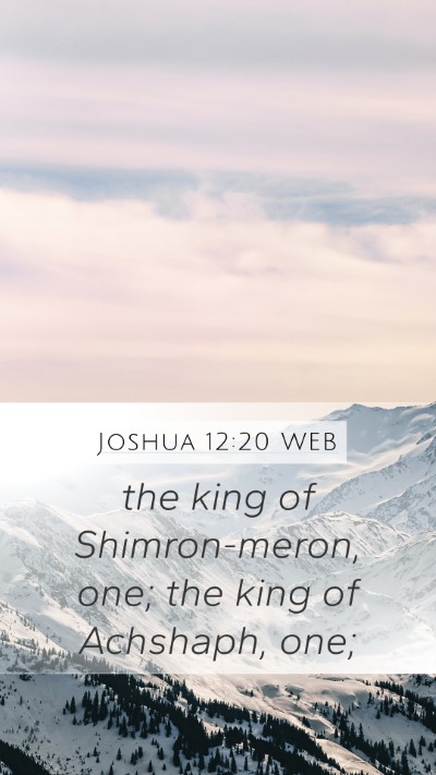 Joshua 12:20 WEB Bible Verse Image