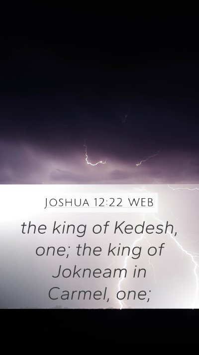 Joshua 12:22 WEB Bible Verse Image