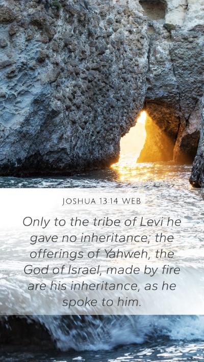Joshua 13:14 WEB Bible Verse Image