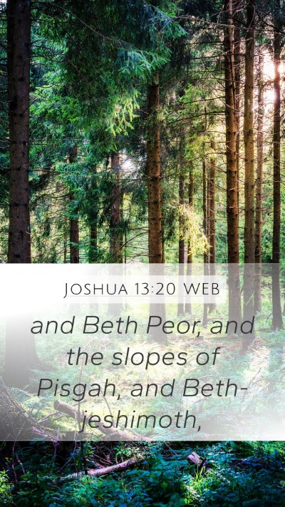 Joshua 13:20 WEB Mobile Phone Wallpaper - and Beth Peor, and the slopes of Pisgah, and - Mobile Bible Verse Wallpaper