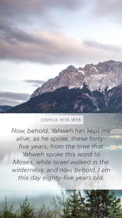 Joshua 14:10 WEB Bible Verse Image