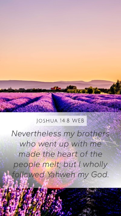 Joshua 14:8 WEB Bible Verse Image