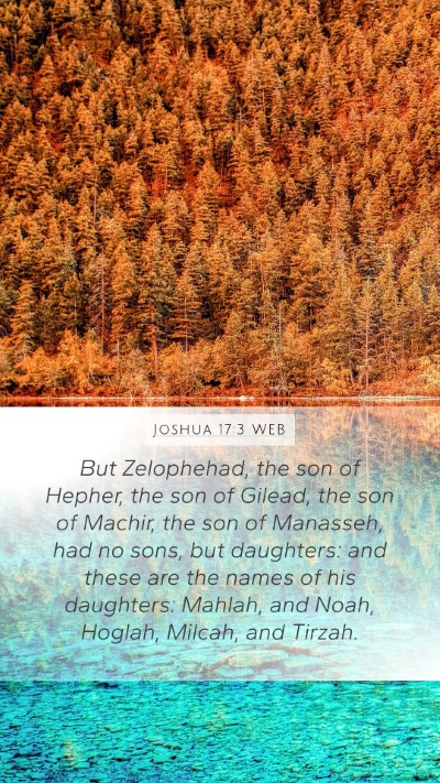 Joshua 17:3 WEB Bible Verse Image