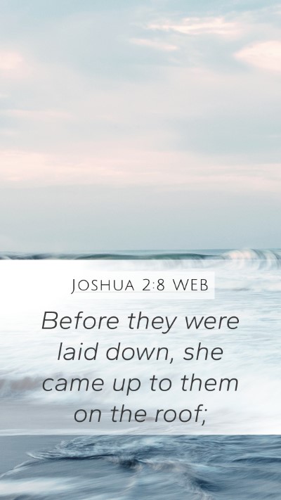 Joshua 2:8 WEB Mobile Phone Wallpaper - Before they were laid down, she came up to them - Mobile Bible Verse Wallpaper