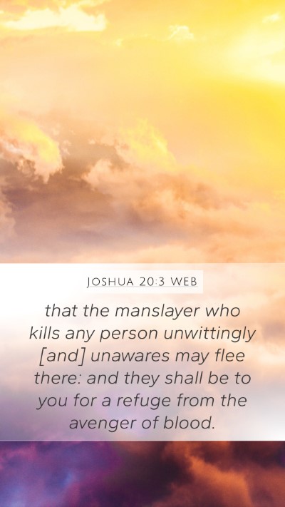 Joshua 20:3 WEB Bible Verse Image