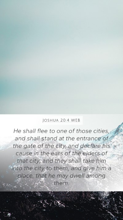 Joshua 20:4 WEB Bible Verse Image