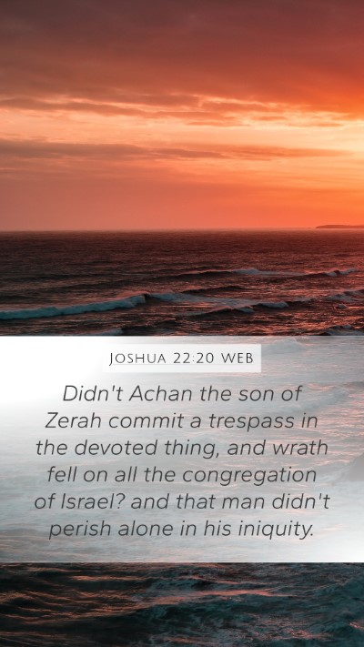 Joshua 22:20 WEB Bible Verse Image