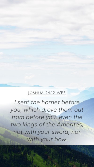 Joshua 24:12 WEB Mobile Phone Wallpaper - I sent the hornet before you, which drove them - Mobile Bible Verse Wallpaper