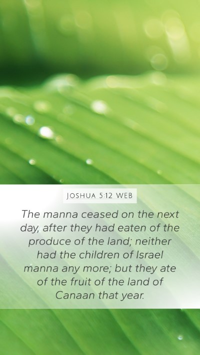 Joshua 5:12 WEB Bible Verse Image