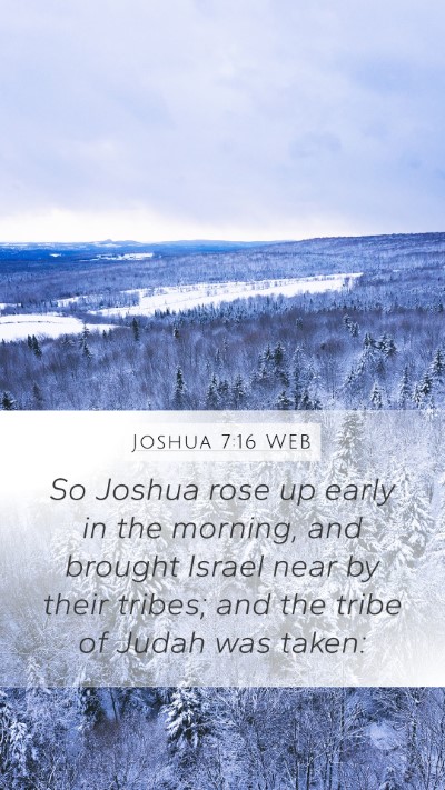 Joshua 7:16 WEB Bible Verse Image