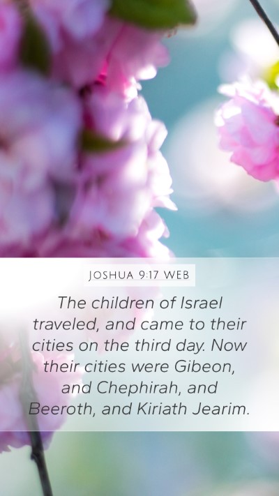 Joshua 9:17 WEB Bible Verse Image
