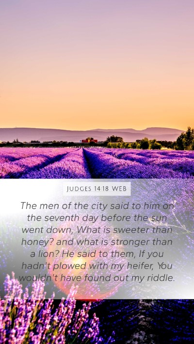 Judges 14:18 WEB Bible Verse Image