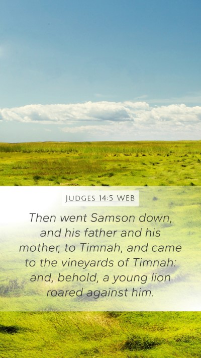 Judges 14:5 WEB Bible Verse Image