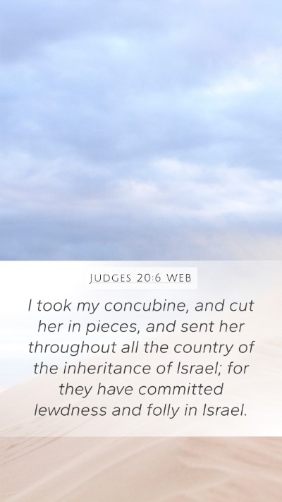 Judges 20:6 WEB Bible Verse Image