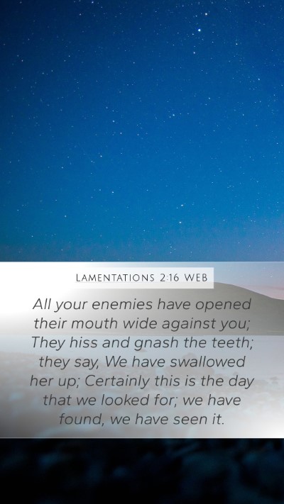 Lamentations 2:16 WEB Bible Verse Image